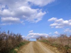 Tavaszi hangulatkép