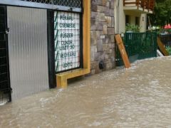 Ki visz (ivó)vizet Noéminek?