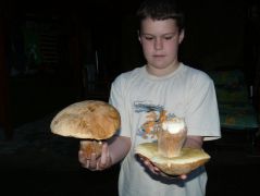 Juhászék idén rekordméretekre törnek...