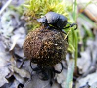 Ezzel foglalkozzatok, ne a gombákkal!