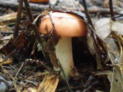 Ismét minden ázik-fázik...