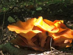 Szó szerint szemünkbe világítottak!