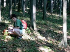 Mozsárütőgombákra vadászunk!