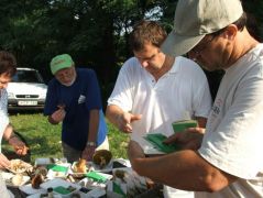 Fajhatározás a gombabemutatóhoz
