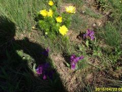 Lajos, az árnyékodra is figyelni kell!