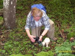 Találkozás Noémivel