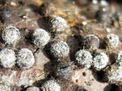 Valami történik...