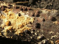 Együtt és külön...