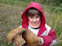 Kis gyerek nagy gombákkal