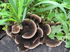 Útban a buszmegálló felé...