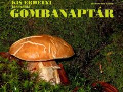 Kis erdélyi gombanaptár - címlap