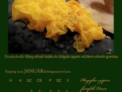 2013. Január