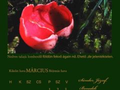 2013. Március