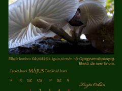 2013. Május