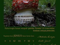 2013. Június