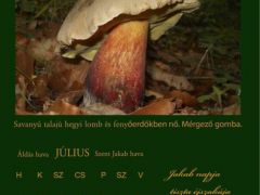 2013. Július