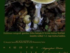 2013. Augusztus