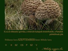 2013. Szeptember