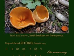 2013. Október