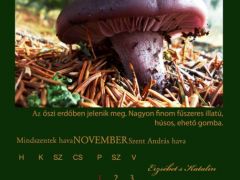 2013. November
