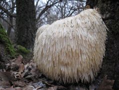 Decemberben ötször voltam a helyszínen