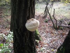 10.22 - nagy a szárazsság