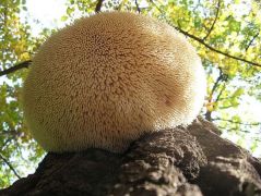 Alulnézetben, ahogy ritkán fotózzák