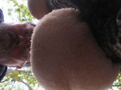 09.27-én fentről nézve, alulról fotózva