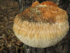 2013.10.23 - meglátszik az idő múlása