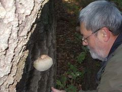 Köszönet állandó gombásztársamnak!