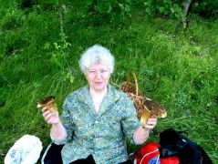 Ez a gomba! - Ízletes vargányák