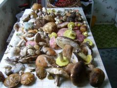 Így még mutatósabbak