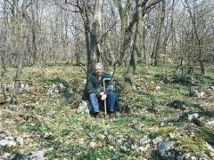 Keltikék között...