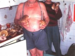 Gombagyűjtő túra a hutáknál