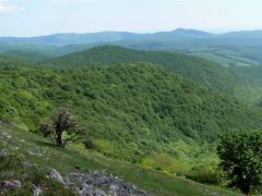 Kilátás a Cserepes-kő felől