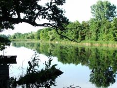 Ízelítő a környezetből