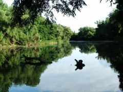 Búcsúfotó - a holtág a Bárányszögnél