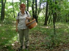 Zsuzsanna az erdőben