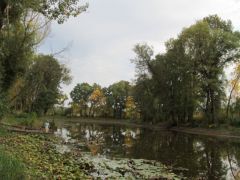 Süppedős láp a kertek alatt