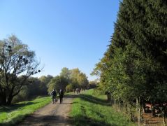A gáton, az erdő felé