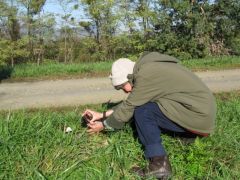 Ildi fotótémát talált