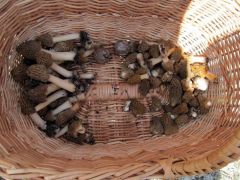 Szorozva 25-el - lehetett volna rosszabb is