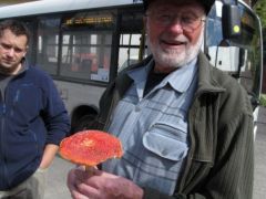 Ma Pelles János vezette a határozást