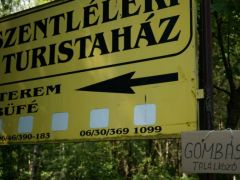 Nem lehetett eltévedni - volt akinek sikerült