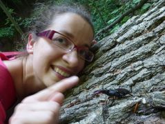 Eszter és a hím Lucanus cervus