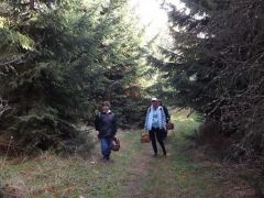 A fenyves direkt cél volt