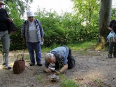 Jókora példányok, érdemes megadni a módját
