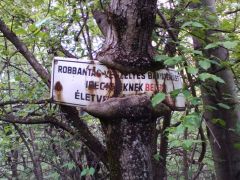 Errefelé fának lenni is veszélyes!
