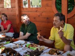 Kenyérgomba, keserűgomba - jelzőfajok