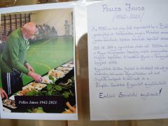 Pelles Jánosra emlékezünk